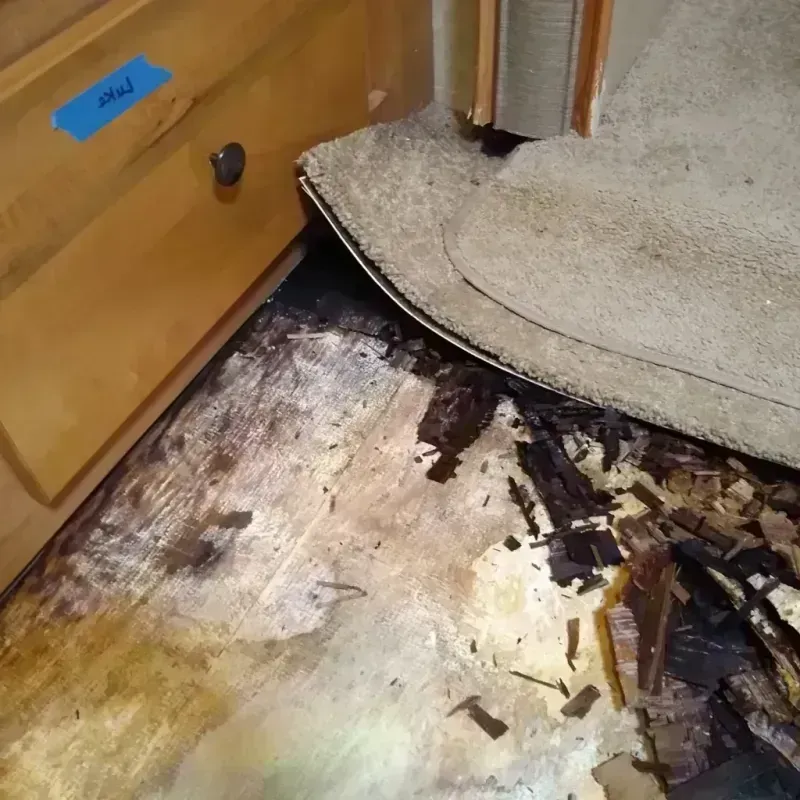 Wood Floor Water Damage in Greenbelt, MD